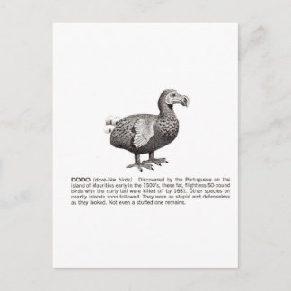 dodo postcard