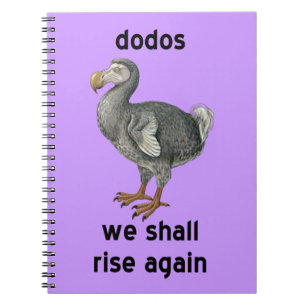 dodos notebook