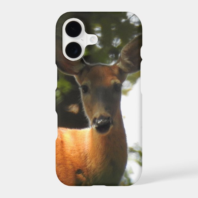 Doe, A Deer (Back)