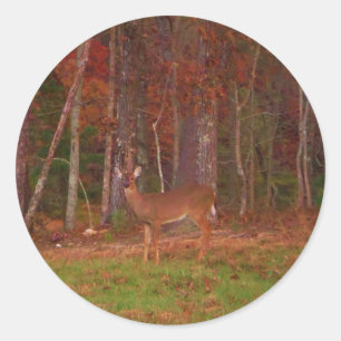 Doe a Deer in Lake Arrowhead Classic Round Sticker