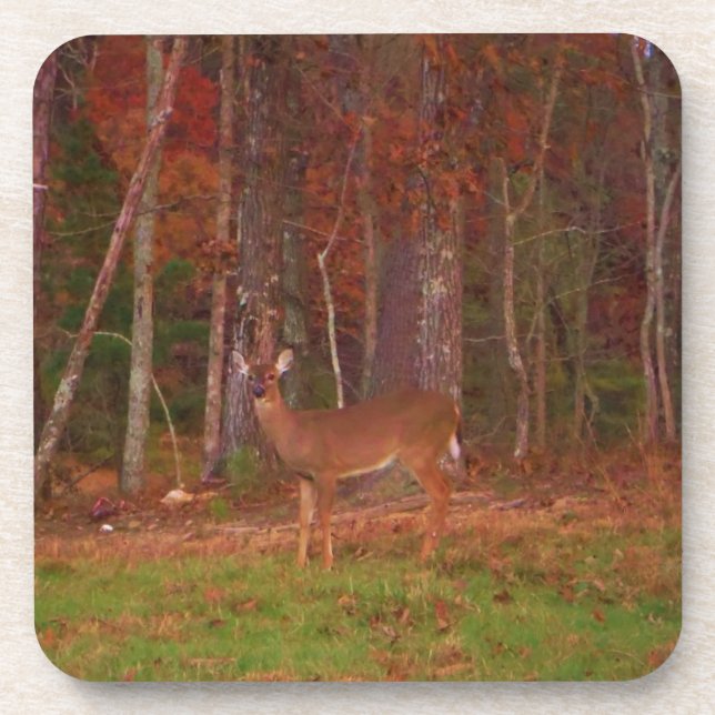 Doe a Deer in Lake Arrowhead Coaster (Front)