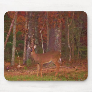 Doe a Deer in Lake Arrowhead Mouse Pad