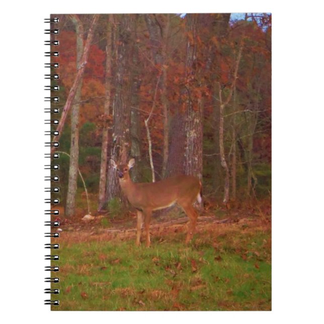 Doe a Deer in Lake Arrowhead Notebook (Front)