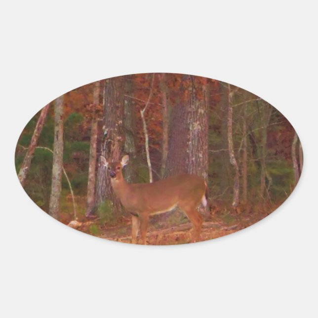 Doe a Deer in Lake Arrowhead Oval Sticker (Front)