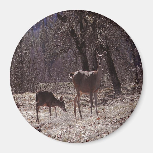 Doe and fawn.... magnet (Front)