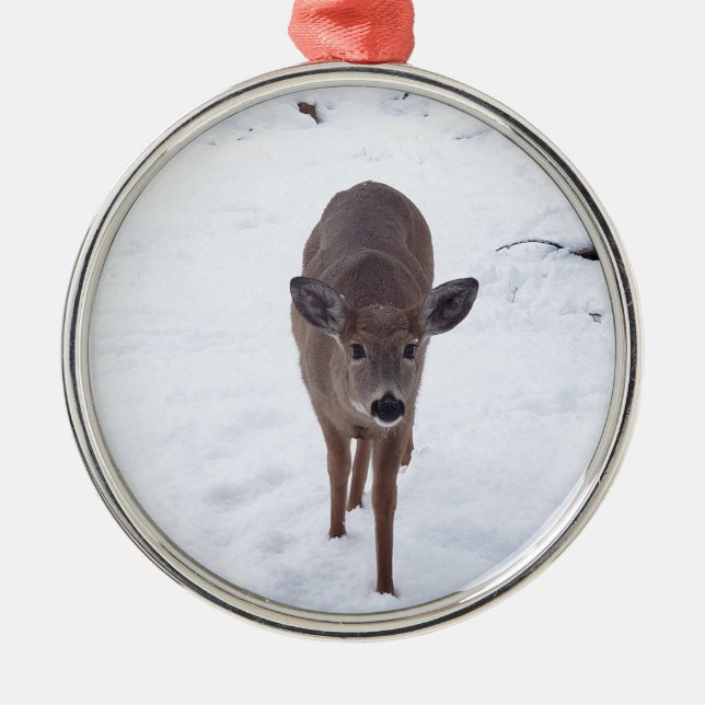 Doe deer in the snow Montana Wildlife photography Metal Ornament (Front)