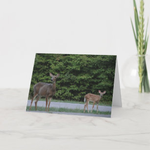 Doe & Fawn Card
