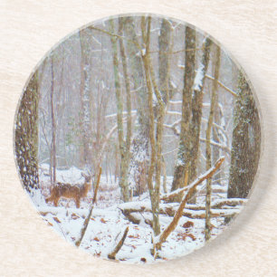 Doe in the snow, Deer in Lake Arrowhead Coaster