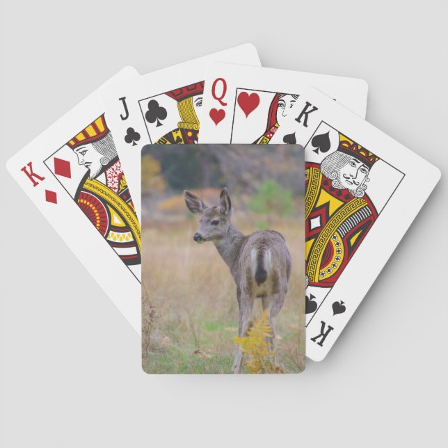 Doe Playing Cards (Back)