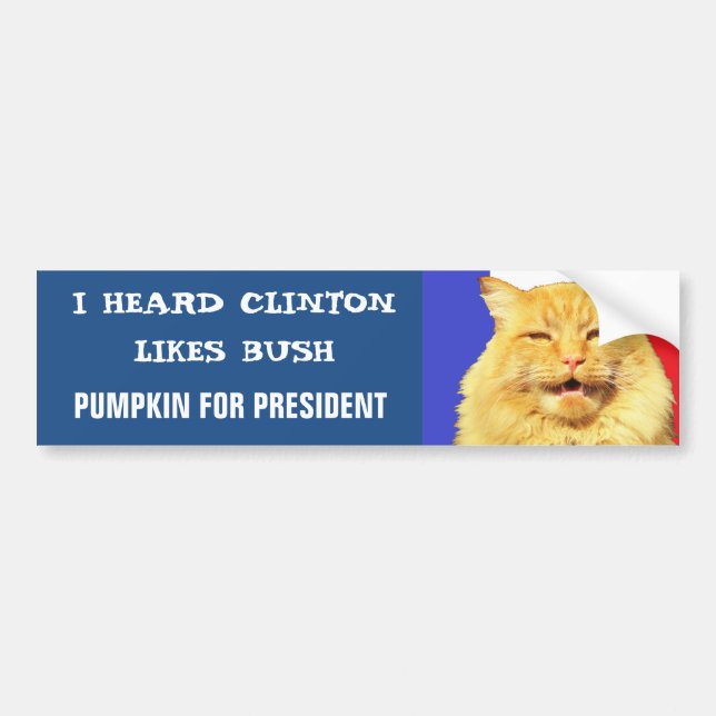 Does Clinton Like Bush? Bumper Sticker (Front)