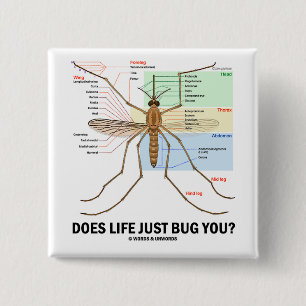 Does Life Just Bug You? (Mosquito Anatomy) 15 Cm Square Badge