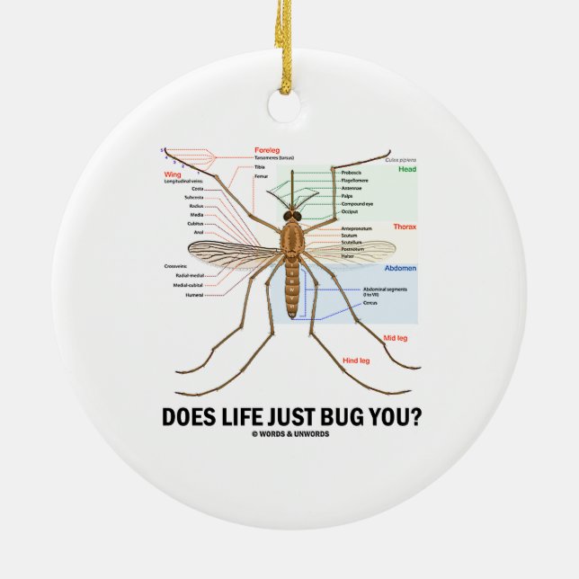 Does Life Just Bug You? (Mosquito Anatomy) Ceramic Tree Decoration (Back)