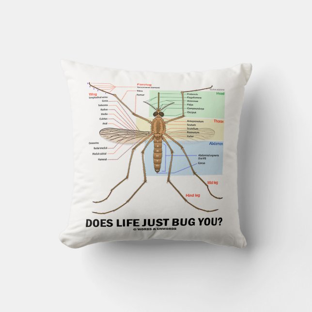 Does Life Just Bug You? (Mosquito Anatomy) Cushion (Front)