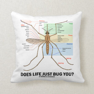 Does Life Just Bug You? (Mosquito Anatomy) Cushion