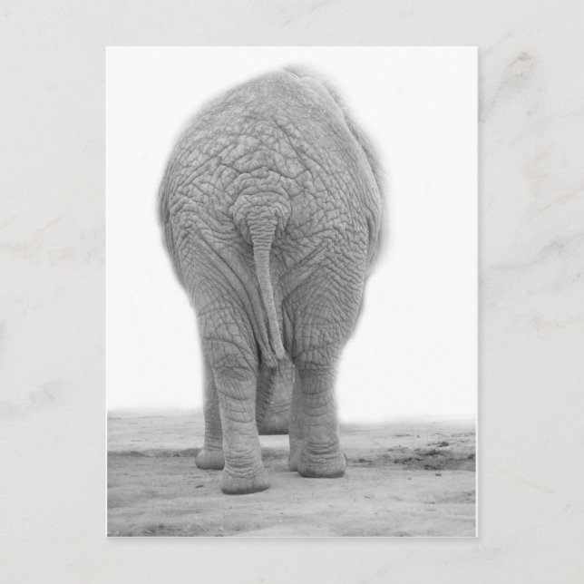 Does my bum look big postcard (Front)