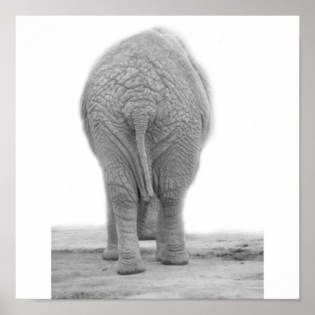 Does my bum look big poster (Front)