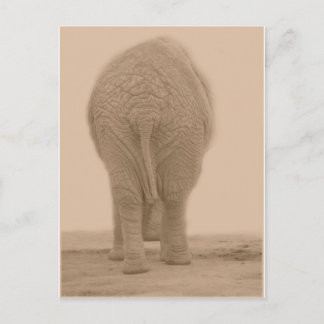 does my bum look big sepia postcard