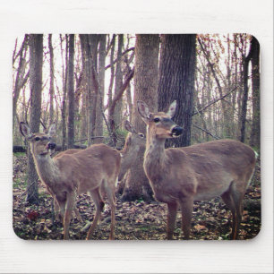 Does on the Farm Mouse Pad