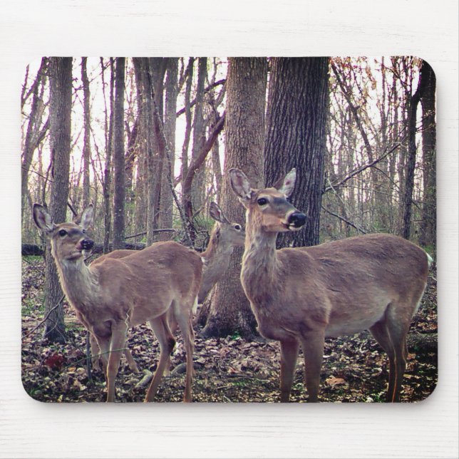 Does on the Farm Mouse Pad (Front)