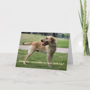 Does this card make my butt look big?