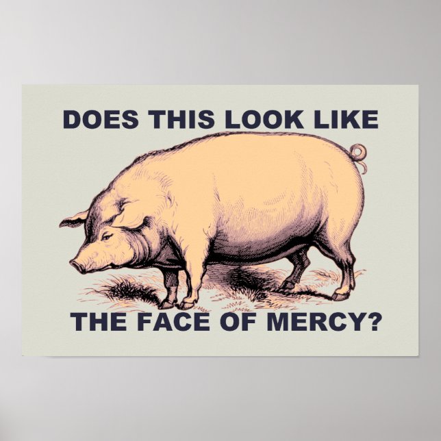 Does This Look Like The Face of Mercy?  Grumpy Pig Poster (Front)