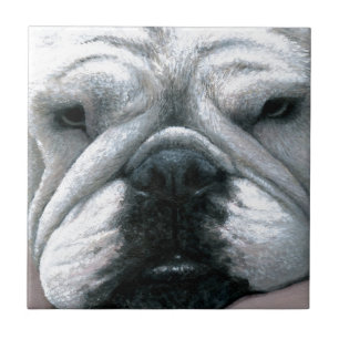 Dog 118 English Bulldog Ceramic Tile