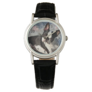 dog 150 Boston Terrier Watch