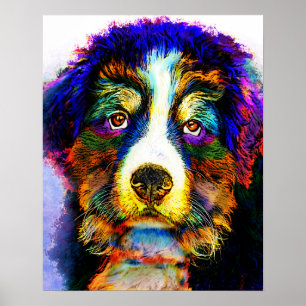 dog 157 Bernese Mountain Poster