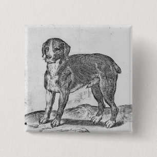Dog 15 Cm Square Badge