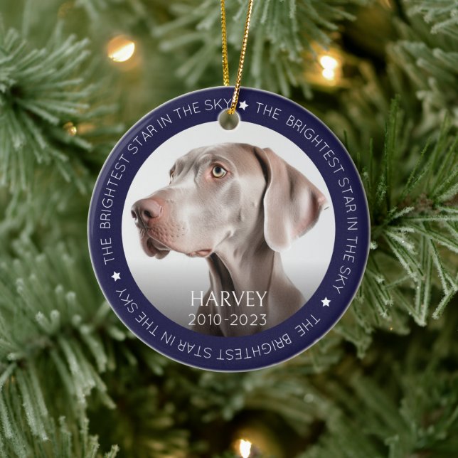 Dog  2 Photo Keepsake Pet Memorial Ceramic Ornament (Tree)