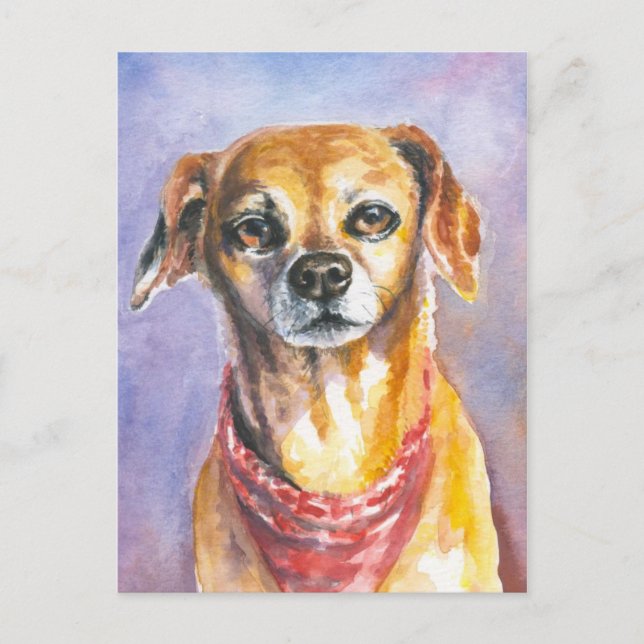 Dog 2 postcard (Front)