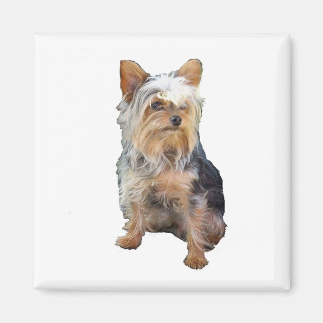 Dog 4 A  Magnet (Front)