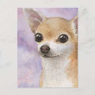 Dog 95 Chihuahua Postcard