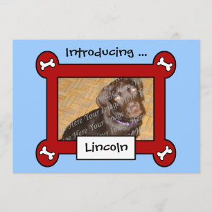 Dog Adoption or Birth Announcements (Red & Blue)