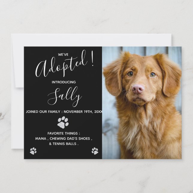 Dog Adoption - Puppy Shower Party - New Pet Invitation (Front)