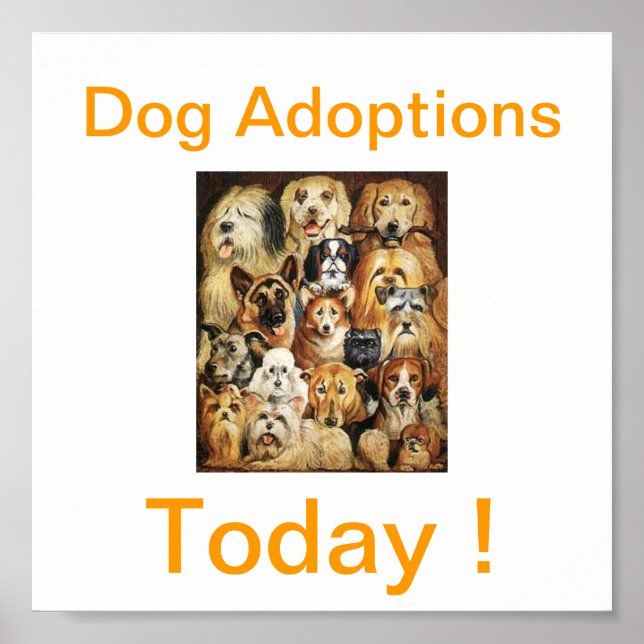 Dog Adoptions Today Signs (Front)