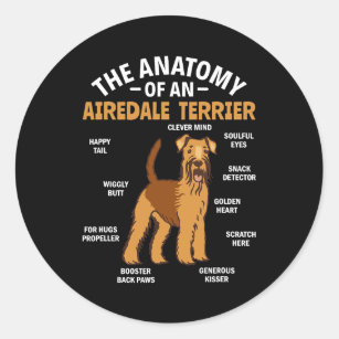 Dog Airedale Terrier Lover Anatomy of an Airedale  Classic Round Sticker