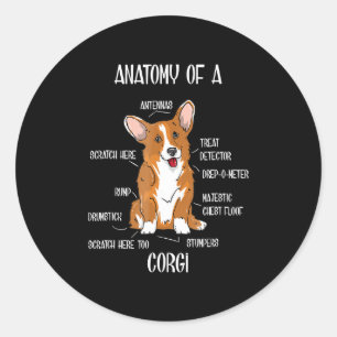 Dog Anatomy , Cute Welsh Corgi Puppy Biology Gift. Classic Round Sticker