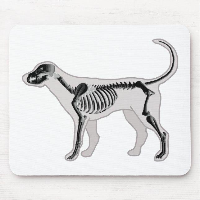 DOG ANATOMY X-RAY VET MOUSE PAD (Front)
