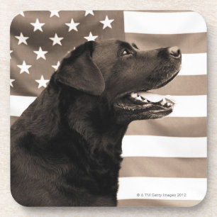 Dog and American flag Coaster
