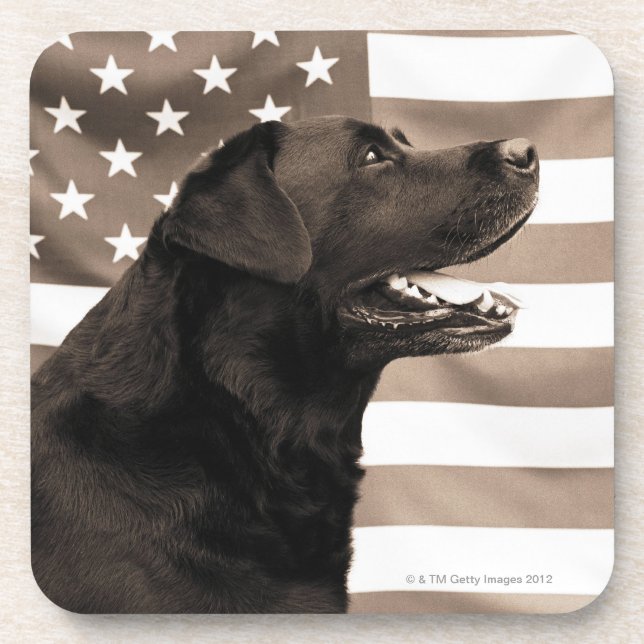 Dog and American flag Coaster (Front)