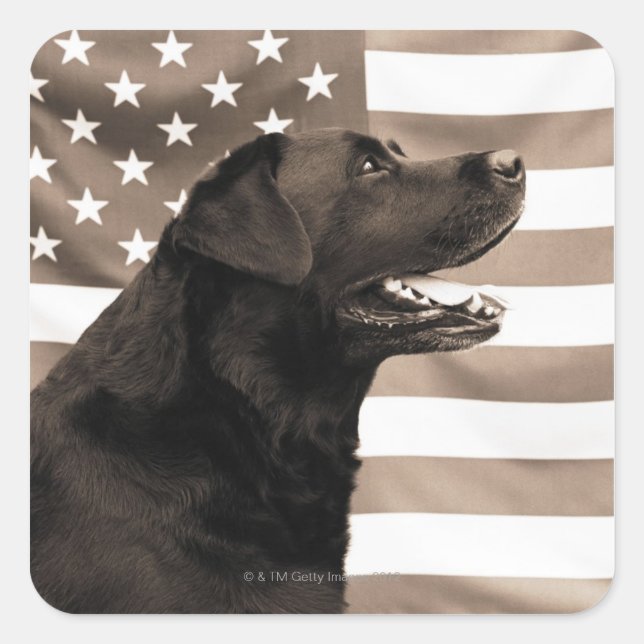 Dog and American flag Square Sticker (Front)