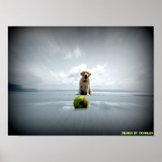 Dog and ball poster