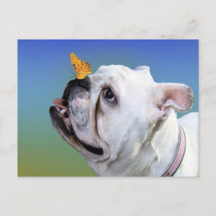 Dog and butterfly postcard