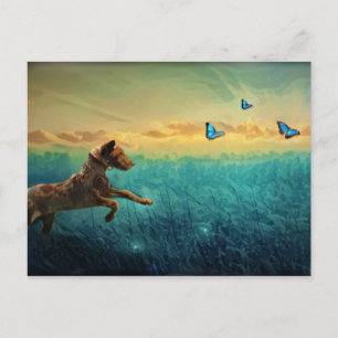 Dog And Butterfly Postcard