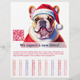 Dog and cat flyer