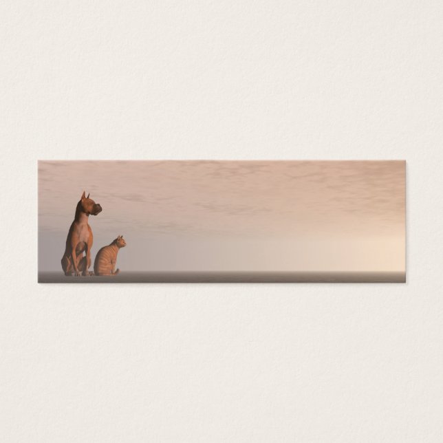 Dog and cat friendship (Front)