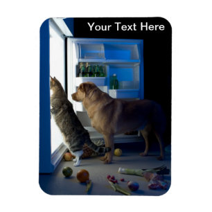 Dog and Cat Home Alone at Midnight Pet Sitter Magnet
