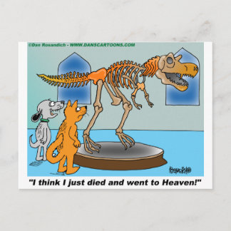 Dog And Cat  In Museum See Dinosaur Skeleton Postcard