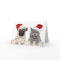 Dog And Cat In Red Christmas Hat